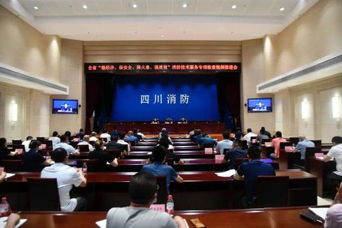 嚴查消防隱患，筑牢安全防線——四川消防技術服務機構專項檢查取得階段性成效